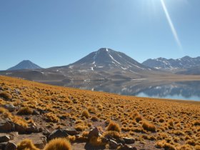 REVEILLON – Segredos do Deserto de Atacama