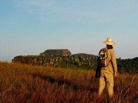 Pantanal Norte, Chapada dos Guimarães e Nobres