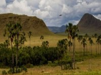 FERIADOS - Chapada dos Veadeiros Express