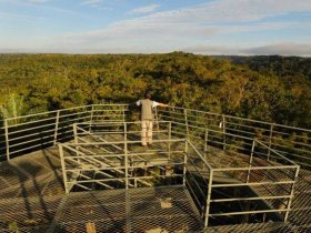 Pantanal Norte e Chapada dos Guimarães