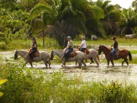 Pantanal Norte - Araras Eco Lodge