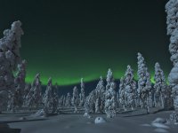 Finlândia, Suécia e Noruega - Os Encantos do Inverno e Aurora Boreal