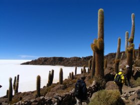 Bolívia - La Paz, Salar do Uyuni, Potosí e Sucre