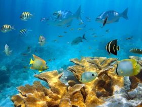 Colômbia - Caribe Colombiano