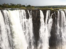 Zâmbia - Safári de Luxo no Toka Leya Camp 
