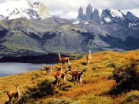 Patagonia Completa - El Calafate e Torres del Paine