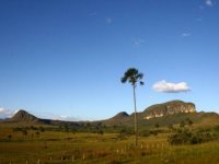 Chapada dos Veadeiros - Terra Ronca