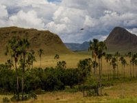 ESPECIAL FIM DE ANO - Chapada dos Veadeiros Express