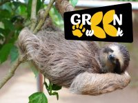 Costa Rica -  Natureza de Costa a Costa