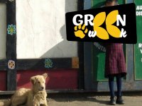 Butão e Nepal - A Cultura da Felicidade