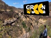 Serra da Capivara - Arqueologia e Natureza