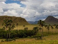 Chapada dos Veadeiros Express