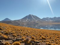 REVEILLON – Tesouros do Deserto de Atacama