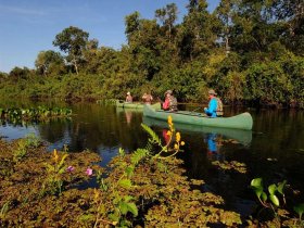 Pantanal Norte - Araras Eco Lodge